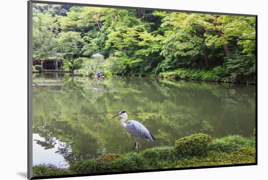 Stork at Hisagoike Pond in Summer, Kenrokuen, One of Japan's Three Most Beautiful Landscape Gardens-Eleanor Scriven-Mounted Photographic Print