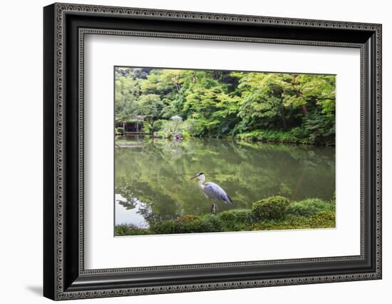 Stork at Hisagoike Pond in Summer, Kenrokuen, One of Japan's Three Most Beautiful Landscape Gardens-Eleanor Scriven-Framed Photographic Print