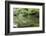 Stork at Hisagoike Pond in Summer, Kenrokuen, One of Japan's Three Most Beautiful Landscape Gardens-Eleanor Scriven-Framed Photographic Print