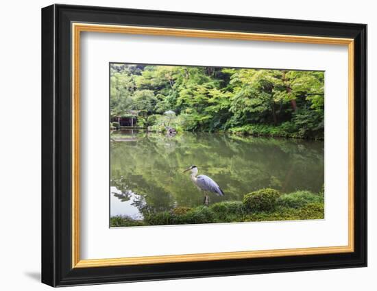 Stork at Hisagoike Pond in Summer, Kenrokuen, One of Japan's Three Most Beautiful Landscape Gardens-Eleanor Scriven-Framed Photographic Print
