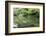 Stork at Hisagoike Pond in Summer, Kenrokuen, One of Japan's Three Most Beautiful Landscape Gardens-Eleanor Scriven-Framed Photographic Print