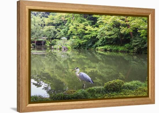 Stork at Hisagoike Pond in Summer, Kenrokuen, One of Japan's Three Most Beautiful Landscape Gardens-Eleanor Scriven-Framed Premier Image Canvas