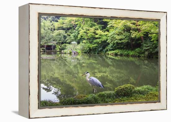 Stork at Hisagoike Pond in Summer, Kenrokuen, One of Japan's Three Most Beautiful Landscape Gardens-Eleanor Scriven-Framed Premier Image Canvas