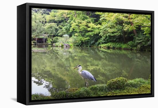 Stork at Hisagoike Pond in Summer, Kenrokuen, One of Japan's Three Most Beautiful Landscape Gardens-Eleanor Scriven-Framed Premier Image Canvas