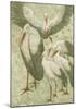 Stork Gather-Theo van Hoytema-Mounted Premium Giclee Print