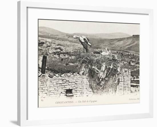 Stork Nesting on a Rooftop, Constantine, Algeria-null-Framed Photographic Print