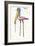 Stork with Calibrated Shanks, 1970s-George Adamson-Framed Giclee Print