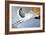 Stork-Jan Panico-Framed Giclee Print