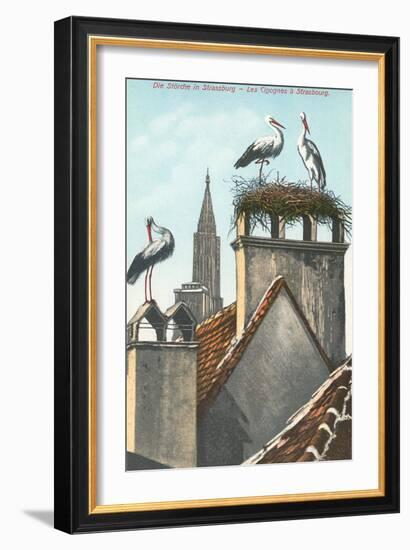 Storks in Strasbourg, France-null-Framed Art Print