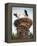 Storks on Top of Chimney in Town of Lenzen, Brandenburg, Germany, Europe-Richard Nebesky-Framed Premier Image Canvas