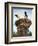 Storks on Top of Chimney in Town of Lenzen, Brandenburg, Germany, Europe-Richard Nebesky-Framed Photographic Print