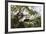 Storks with Nest on a Tree, North Rupununi, Southern Guyana-Keren Su-Framed Photographic Print