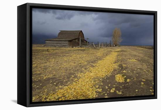 Storm Approaches-Eleanor-Framed Premier Image Canvas