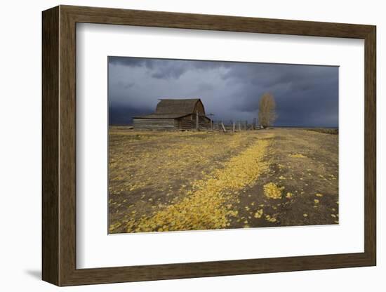 Storm Approaches-Eleanor-Framed Photographic Print