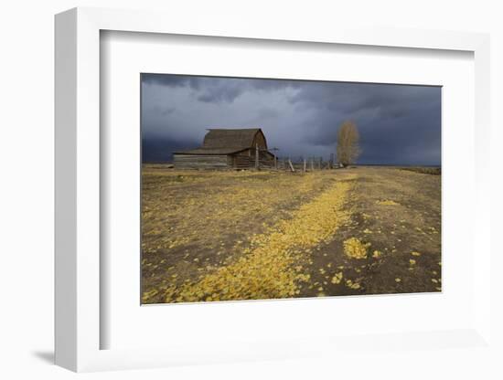 Storm Approaches-Eleanor-Framed Photographic Print