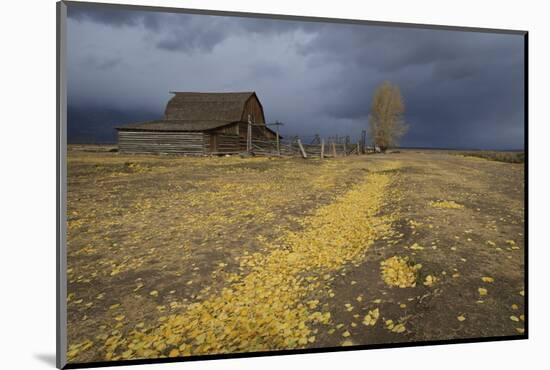 Storm Approaches-Eleanor-Mounted Photographic Print