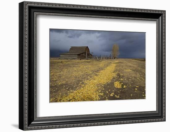 Storm Approaches-Eleanor-Framed Photographic Print