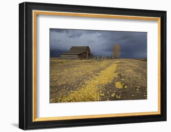 Storm Approaches-Eleanor-Framed Photographic Print