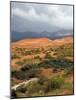 Storm at Coral Pink Sand Dunes State Park, Utah, USA-Diane Johnson-Mounted Photographic Print