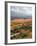 Storm at Coral Pink Sand Dunes State Park, Utah, USA-Diane Johnson-Framed Photographic Print