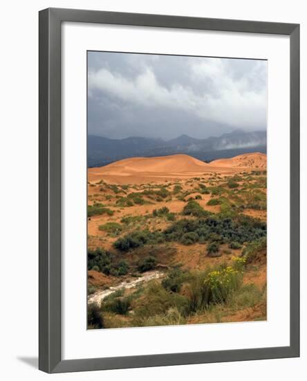 Storm at Coral Pink Sand Dunes State Park, Utah, USA-Diane Johnson-Framed Photographic Print