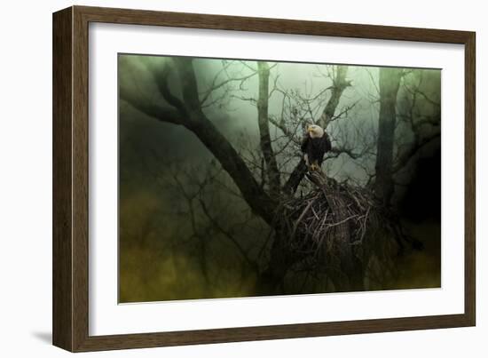 Storm at the Old Nest-Jai Johnson-Framed Giclee Print