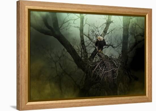 Storm at the Old Nest-Jai Johnson-Framed Premier Image Canvas