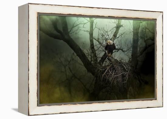 Storm at the Old Nest-Jai Johnson-Framed Premier Image Canvas