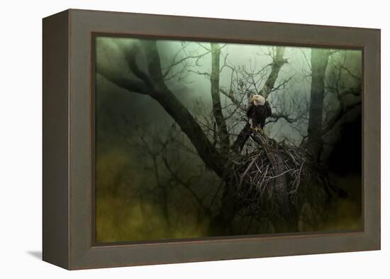 Storm at the Old Nest-Jai Johnson-Framed Premier Image Canvas