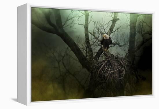 Storm at the Old Nest-Jai Johnson-Framed Premier Image Canvas