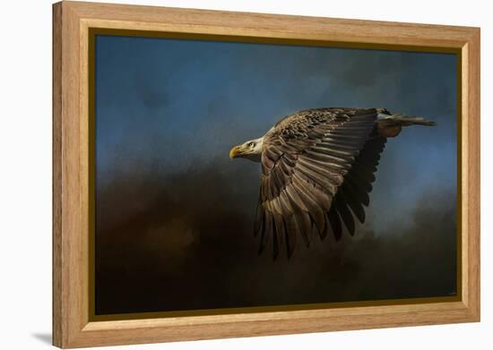 Storm Chaser Bald Eagle-Jai Johnson-Framed Premier Image Canvas