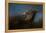 Storm Chaser Bald Eagle-Jai Johnson-Framed Premier Image Canvas