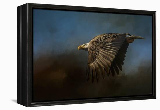 Storm Chaser Bald Eagle-Jai Johnson-Framed Premier Image Canvas