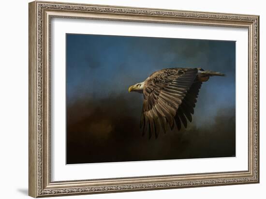 Storm Chaser Bald Eagle-Jai Johnson-Framed Giclee Print