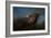 Storm Chaser Bald Eagle-Jai Johnson-Framed Giclee Print