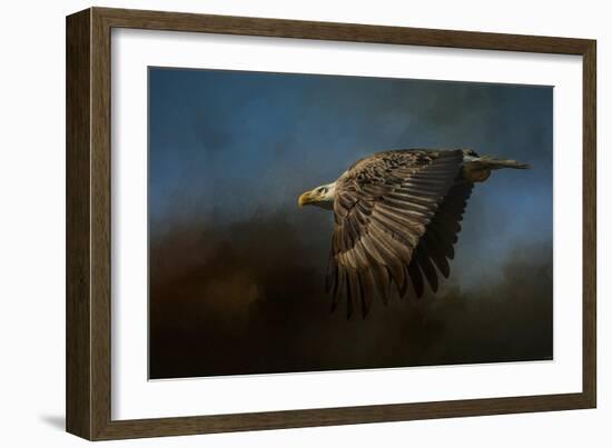 Storm Chaser Bald Eagle-Jai Johnson-Framed Giclee Print