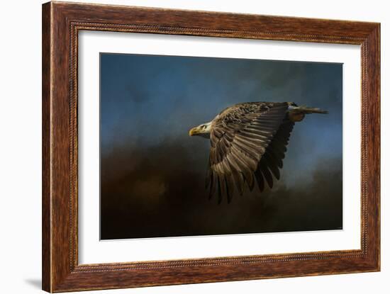 Storm Chaser Bald Eagle-Jai Johnson-Framed Giclee Print