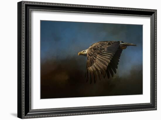 Storm Chaser Bald Eagle-Jai Johnson-Framed Giclee Print