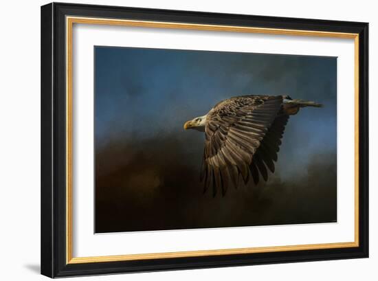 Storm Chaser Bald Eagle-Jai Johnson-Framed Giclee Print