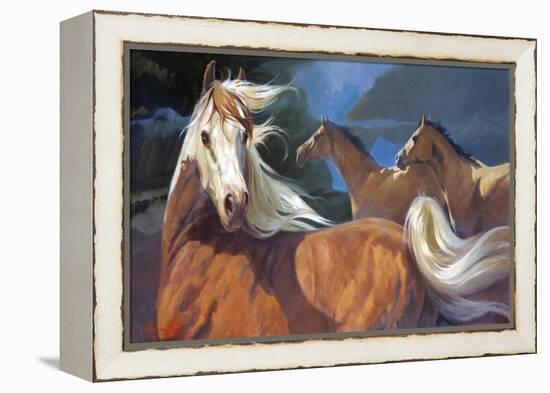 Storm Chasers-Carolyne Hawley-Framed Stretched Canvas