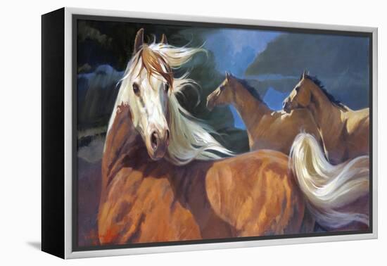 Storm Chasers-Carolyne Hawley-Framed Stretched Canvas