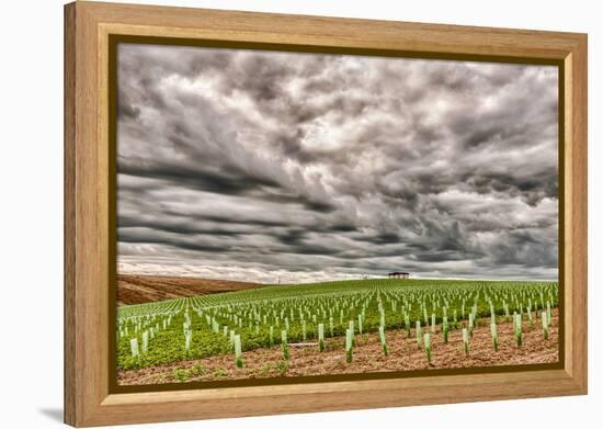 Storm Clouds Gather over Southwind, Walla Walla, Washington, USA-Richard Duval-Framed Premier Image Canvas