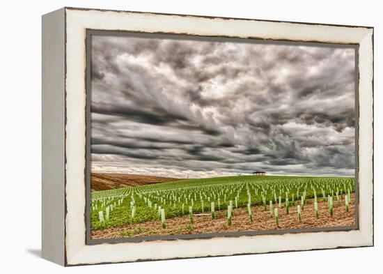 Storm Clouds Gather over Southwind, Walla Walla, Washington, USA-Richard Duval-Framed Premier Image Canvas