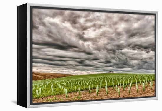 Storm Clouds Gather over Southwind, Walla Walla, Washington, USA-Richard Duval-Framed Premier Image Canvas