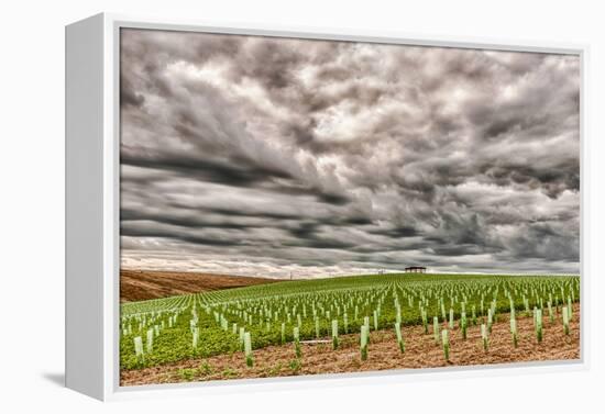 Storm Clouds Gather over Southwind, Walla Walla, Washington, USA-Richard Duval-Framed Premier Image Canvas