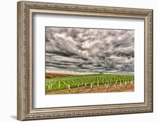 Storm Clouds Gather over Southwind, Walla Walla, Washington, USA-Richard Duval-Framed Photographic Print