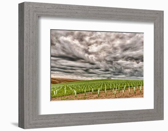 Storm Clouds Gather over Southwind, Walla Walla, Washington, USA-Richard Duval-Framed Photographic Print