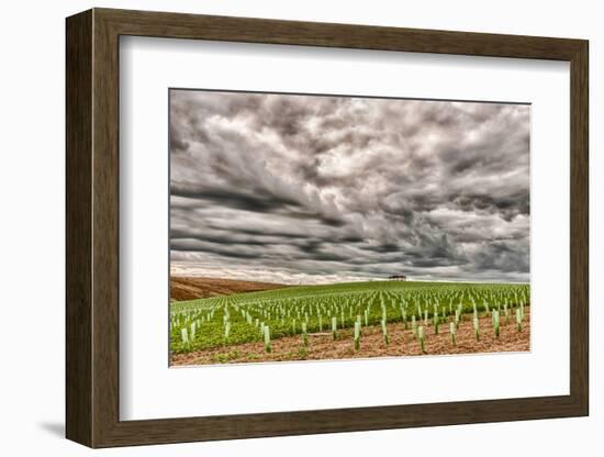 Storm Clouds Gather over Southwind, Walla Walla, Washington, USA-Richard Duval-Framed Photographic Print