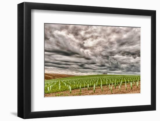 Storm Clouds Gather over Southwind, Walla Walla, Washington, USA-Richard Duval-Framed Photographic Print