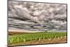 Storm Clouds Gather over Southwind, Walla Walla, Washington, USA-Richard Duval-Mounted Photographic Print